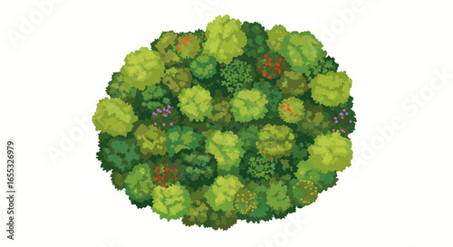 Dense forest canopy aerial view illustration displays a verdant collection of trees, providing an architectural landscape representation for design