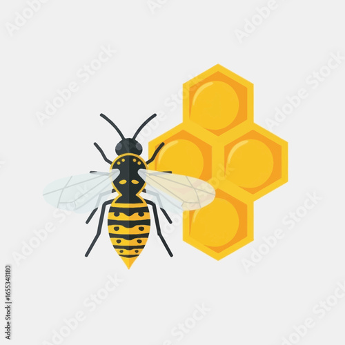 Bee illustration with honeycomb on a white background.