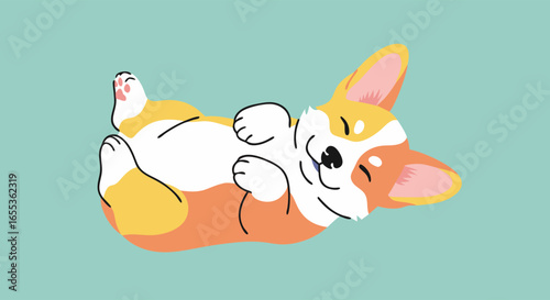 Corgi's Playful Bliss: A cheerful corgi dog, with its characteristic short legs and fluffy coat, lies on its back, basking in contentment against a gentle light blue backdrop, embodying pure joy.