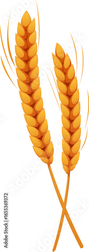 Cereal wheat ear and spikes, happy Thanksgiving holiday harvest symbol. Cartoon vector stalks of barley, rye, rice or millet. Two golden stalks for bread or bakery agricultural and farm production