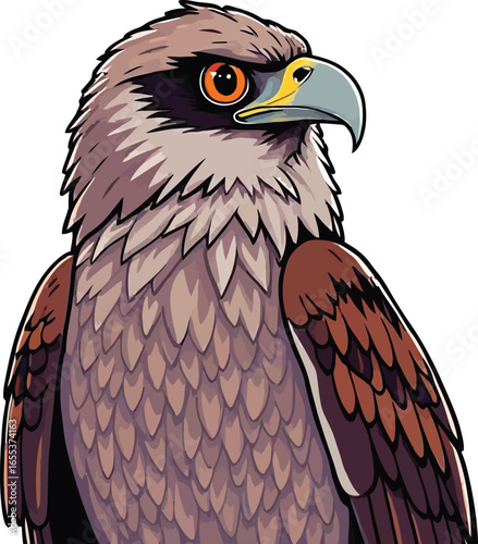 Cute cartoon a illustrator vector nighthawk