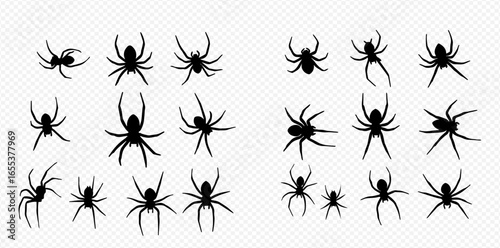 A collection of black spider silhouettes in various poses and sizes, isolated on a transparent background.
