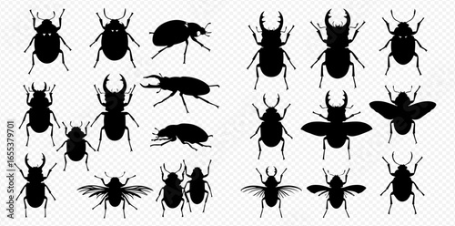 A diverse collection of black insect silhouettes, including various types of beetles like stag and rhinoceros, shown from top and side views on a transparent background.