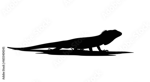 striking iguana silhouette perfect for tropical wildlife or reptilethemed designs logos and illustrations