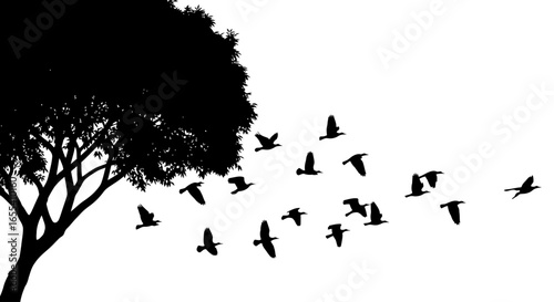 silhouette of birds taking flight from a tree natureinspired design for ecofriendly brands websites and peaceful atmosphere projects