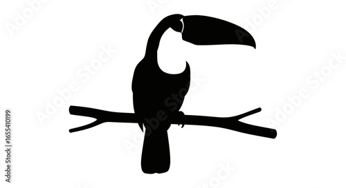 elegant toucan silhouette perfect for tropical themed designs logos and branding projects