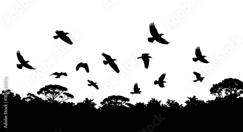 silhouette of birds in flight over a lush forest perfect for nature documentaries ecofriendly branding and travel brochures