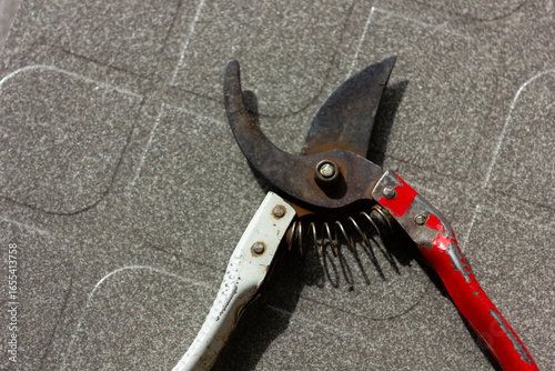 Fotografie Close-up of a rustic, rusty pruning shears with peeling paint
