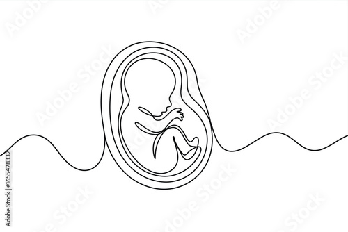 Fetus in womb continuous line art drawing