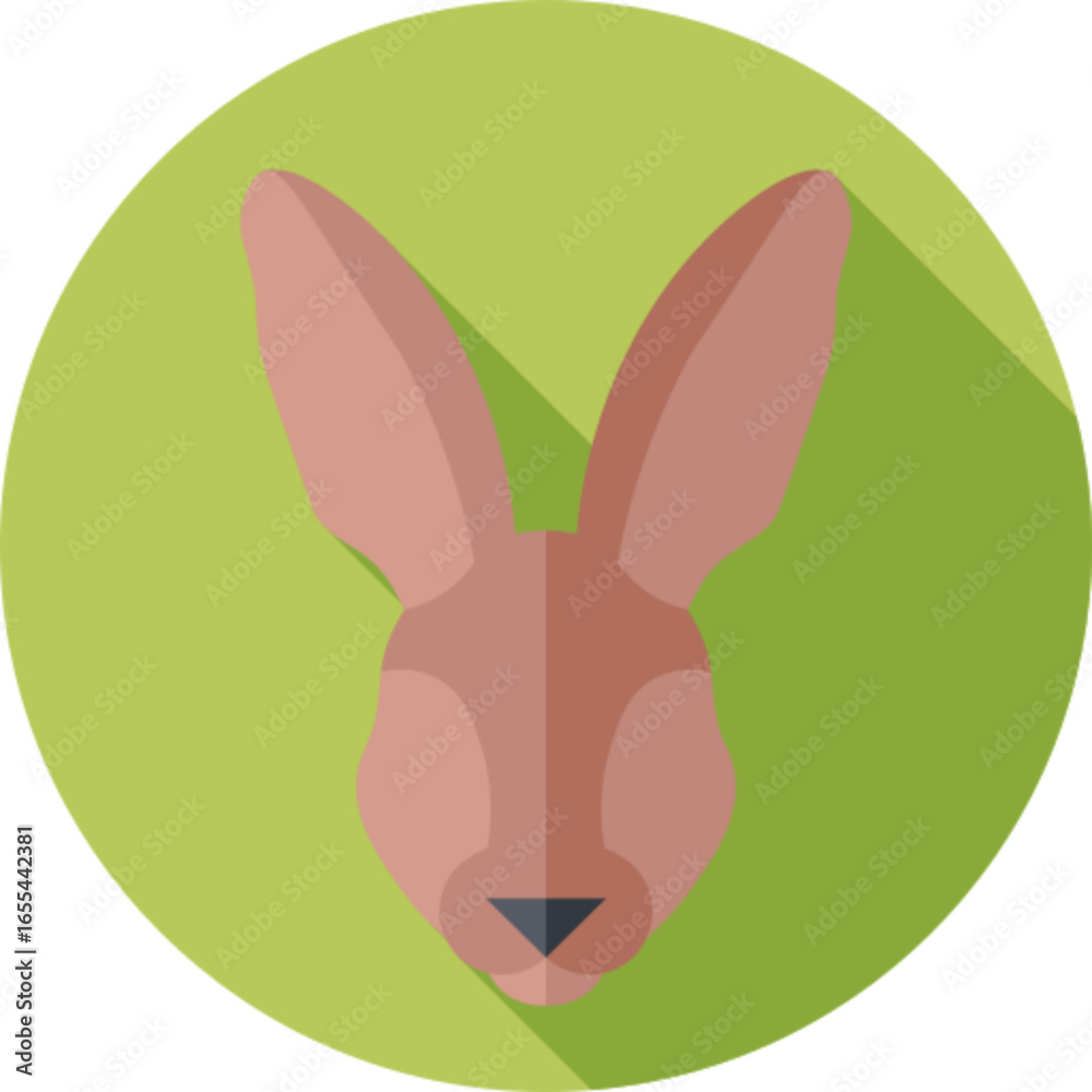 Obraz premium Wild Hare Animal