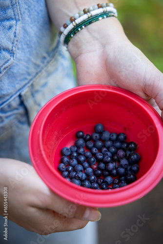Hand holding a bowl of  fresh picked wild huckleberries