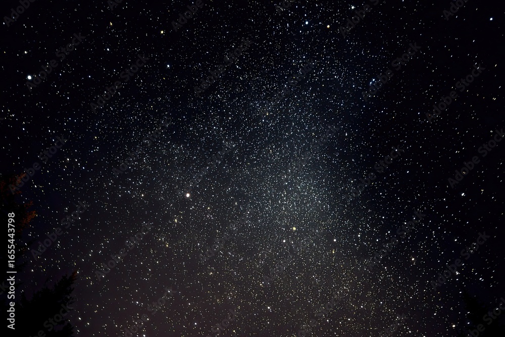 Obraz premium Starry night sky, milky way. Vast expanse of dark night sky, densely populated with stars of varying brightness.