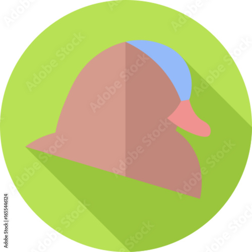 Colorful Mandarin Duck