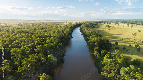 Foto An aerial view of a wide, brown river flowing through a lush, green forest on one bank and open grasslands on the other, under a partly cloudy sky