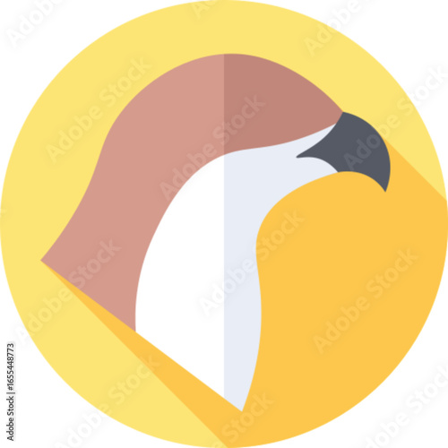 Osprey Bird Wildlife