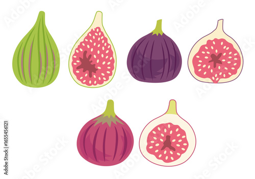 いちじく3種のイラストセット1