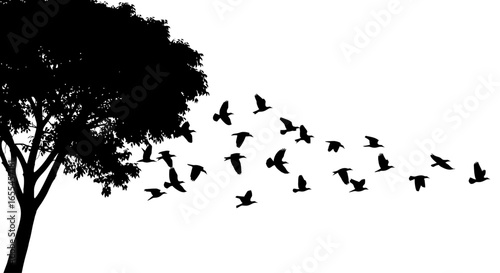 silhouette of birds taking flight from a tree perfect for nature freedom and migration designs websites and social media posts