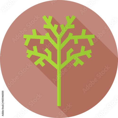 Fresh Dill Herb
