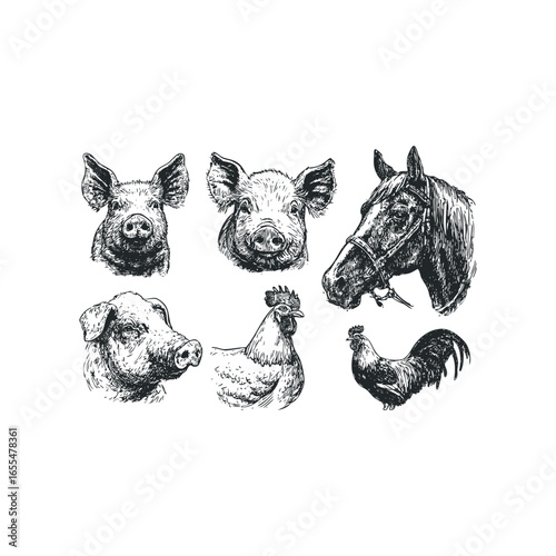 Sketchy Farm Animals Collection Featuring Pigs, Rooster, and Horse Heads