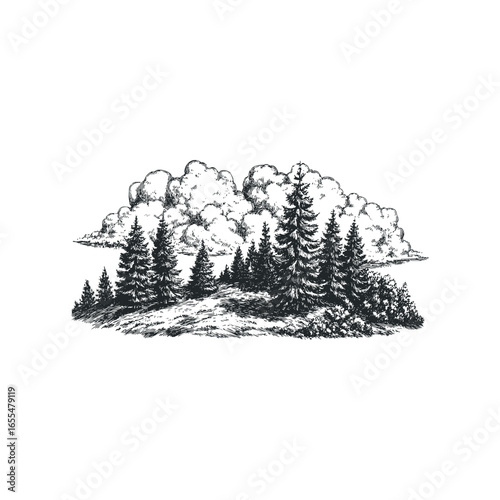 Coniferous Forest Landscape with Dramatic Clouds