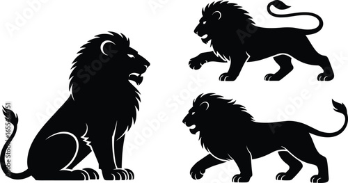 Silhouettes of three lions in sitting and standing poses, detailed manes and bodies, black isolated animal figures, white background, wildlife design style