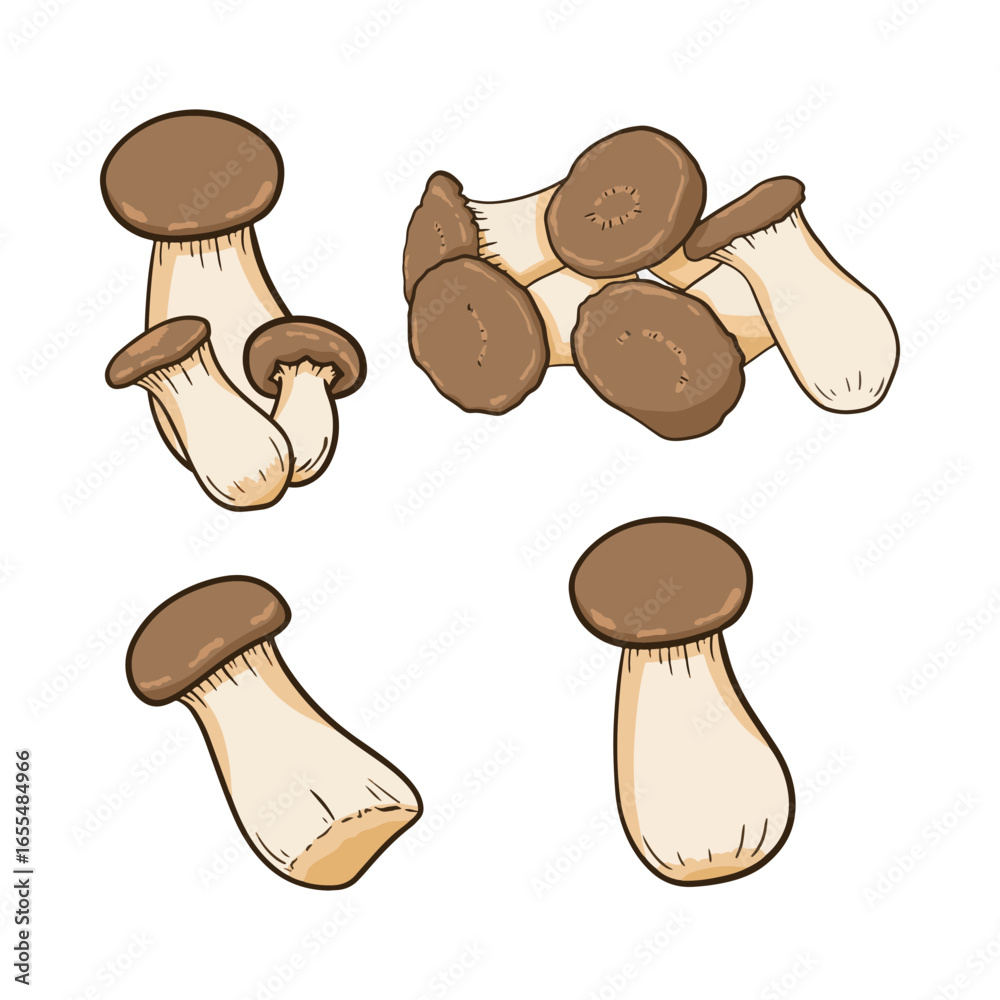 Fototapeta premium mushroom-26