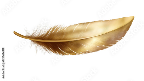 A single beautiful golden feather isolate on white background 