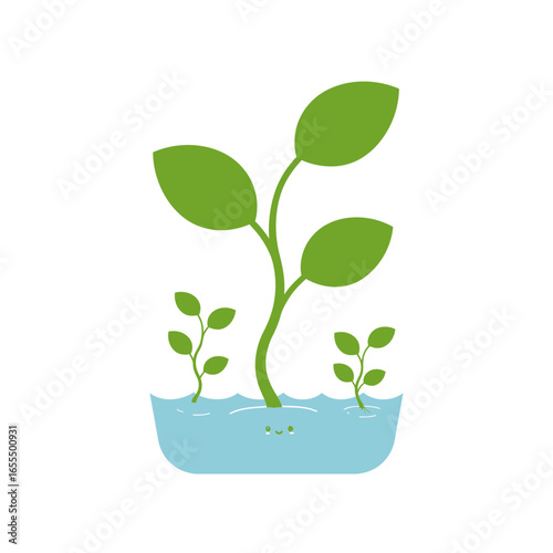 A vibrant green plant with three leaves and two smaller sprouts happily growing in a pool of light blue water.