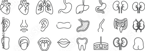 Human body organs anatomy icons set, heart lungs stomach liver kidney intestine ear nose mouth tooth skin bladder vector pack