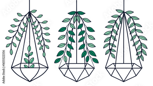 Three geometric terrariums display leafy green plants against a pristine white background with transparency