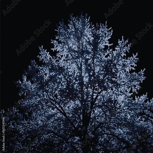 A lone deciduous tree illuminated by soft blue light against a deep black night sky showcasing its intricate branches and frosted foliage