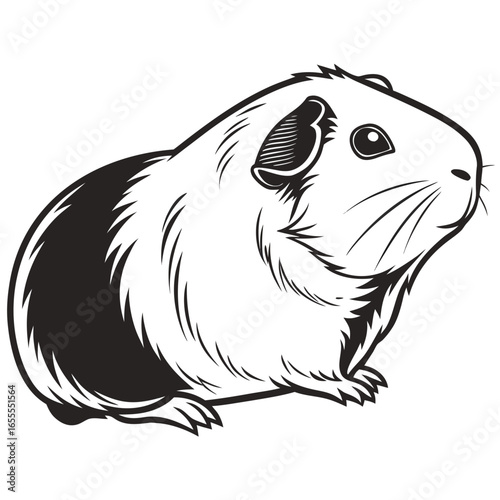 guinea