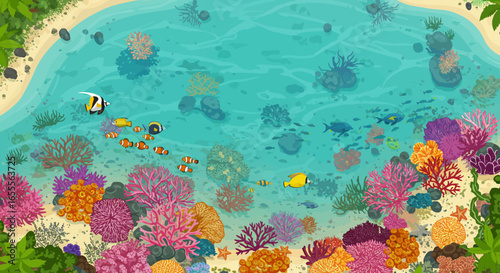 Aerial view of a vibrant coral reef with diverse fish near a sandy beach