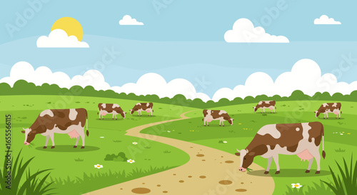 Cows graze in a sunny pasture with a dirt path