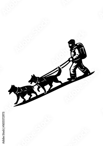 Silhouette of a Person Dog Sledding with Two Dogs