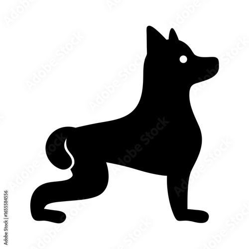 Alert shiba inu dog standing silhouette