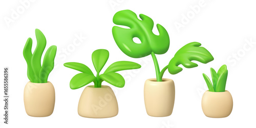Vector 3d house plants collection. Flower in pot set. Monstera icon isolated on white background.