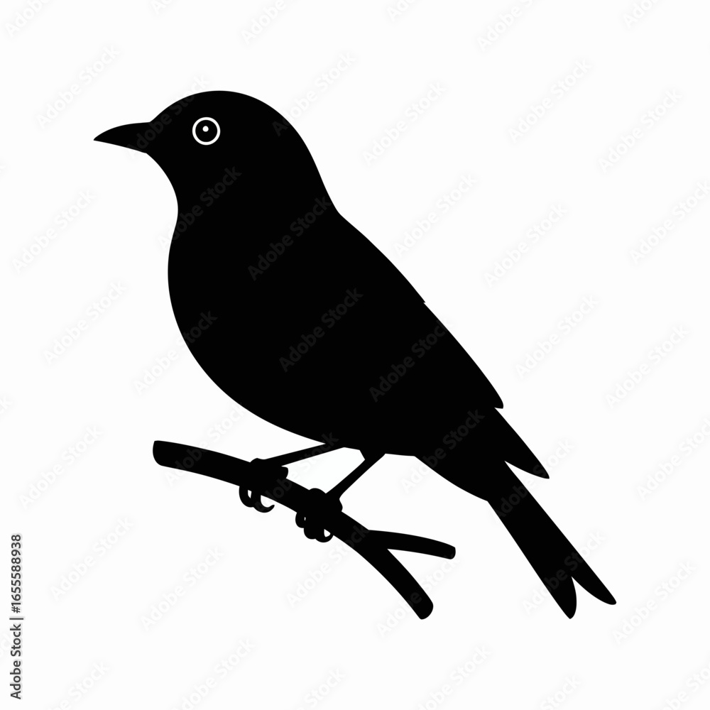 Obraz premium bird on a branch