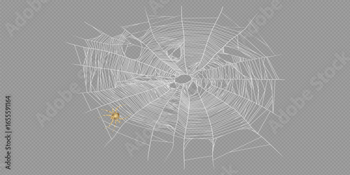 Halloween banner with cobwebs and spiders. Black Fanny Spider and a Corner of Torn Web. Scary Web Halloween symbol. Vector illustration isolated on white