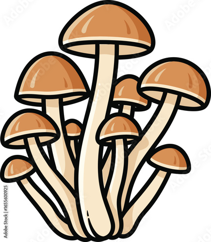 mushrooms isolated on white