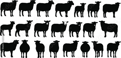 Sheep silhouettes vector graphic livestock farm animals art