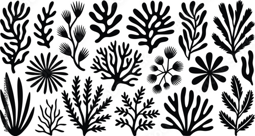 Black Seaweed and Coral Silhouettes Set Against White Background, Aquatic Plants Illustration