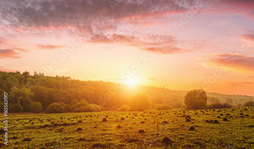Peaceful meadow landscape with golden sunset creates serene mood. Idyllic rural scene for posters, calendars, nature themes and backgrounds. Vintage film asthetic.