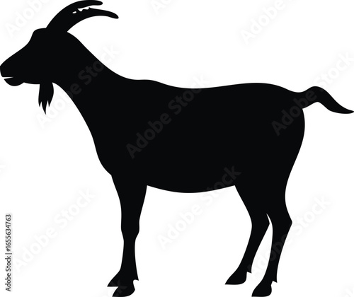 Goat silhouette illustrtion