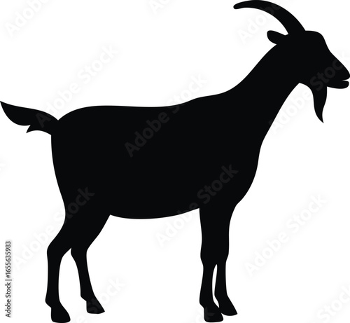 Goat silhouette illustrtion