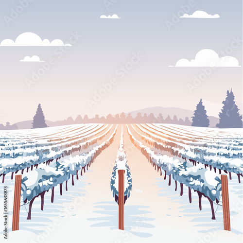 winter in the vineyard with snow blankets dormant vines and ambient light