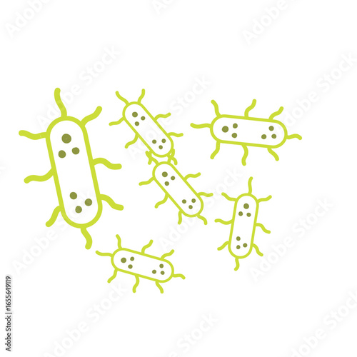 salmonella bacteria outline
