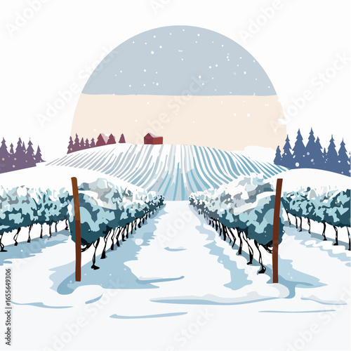 winter in the vineyard with snow blankets dormant vines and ambient light