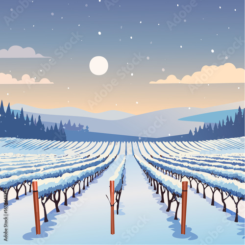 winter in the vineyard with snow blankets dormant vines and ambient light