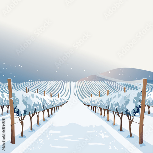 winter in the vineyard with snow blankets dormant vines and ambient light